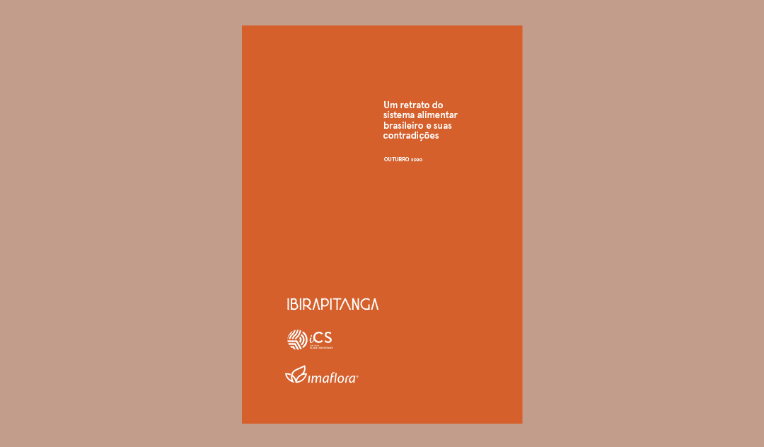 Um retrato do sistema alimentar brasileiro e suas contradições