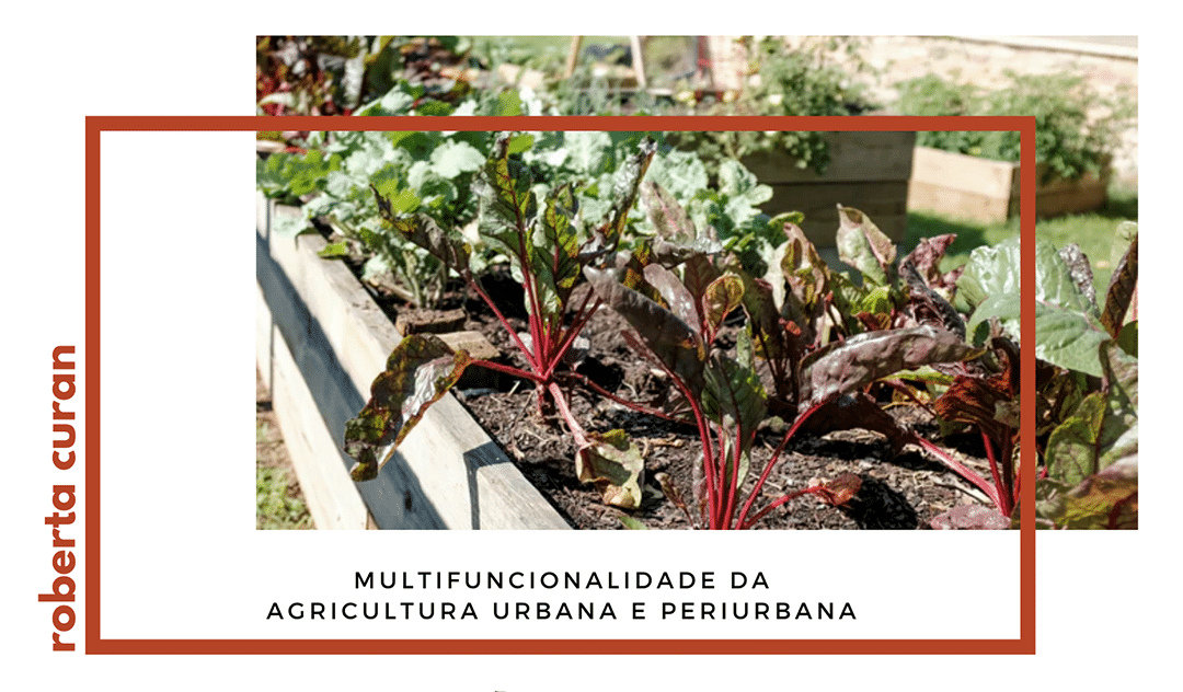 Multifuncionalidade da agricultura urbana e periurbana
