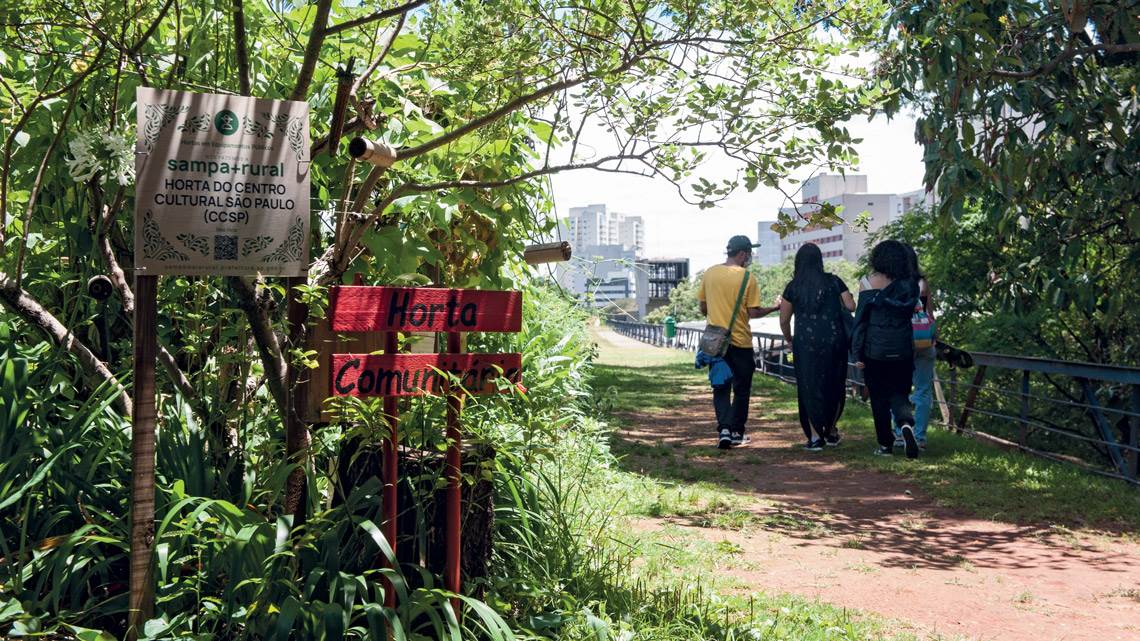 Plantação comunitária de verduras e hortaliças no Centro Cultural São Paulo, próximo ao centro da cidade. Foto de Léo Ramos Chaves