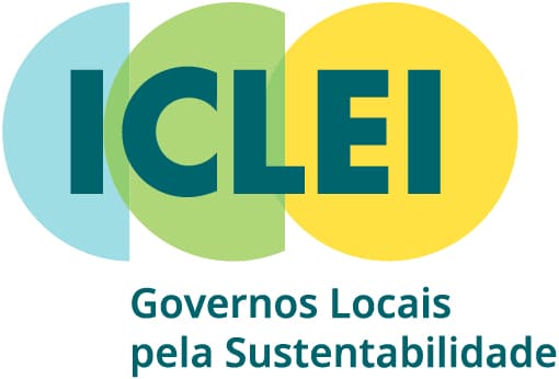 pg-inicial_final_02_iclei_11