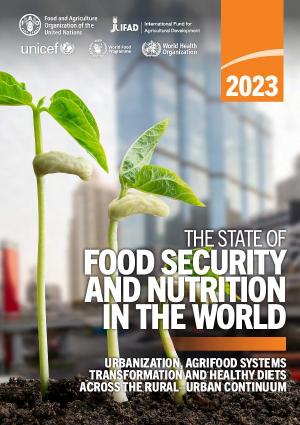 capa SOFI 2023