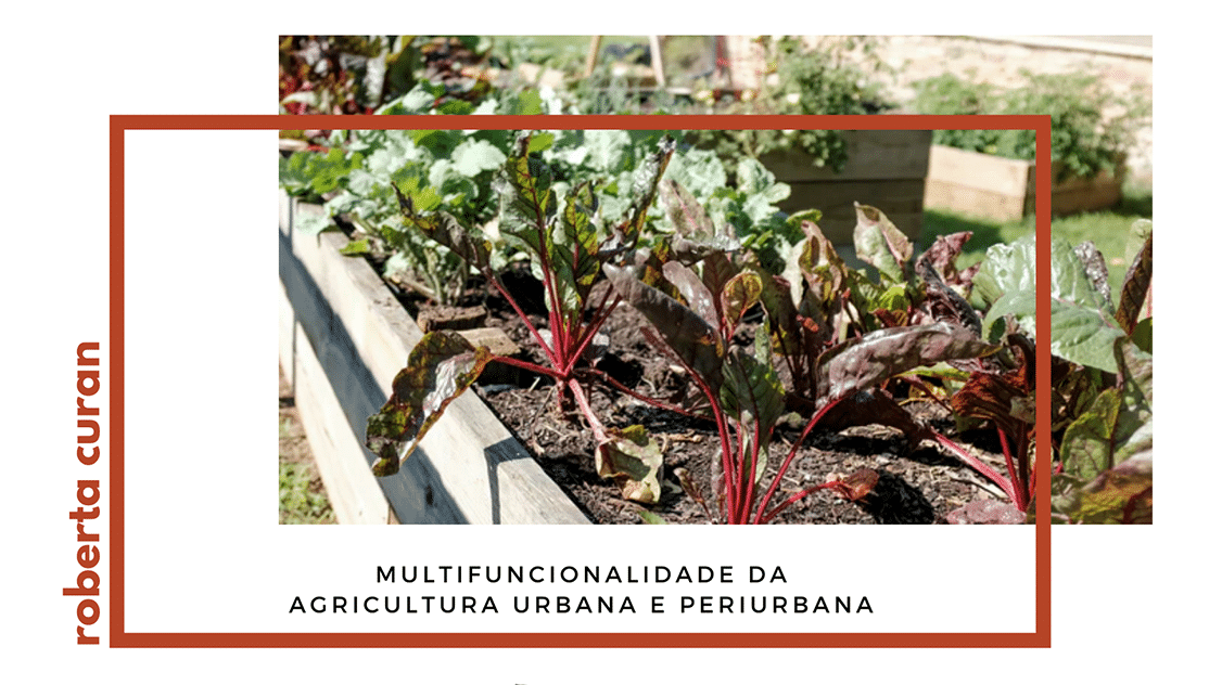 Multifuncionalidade da agricultura urbana e periurbana